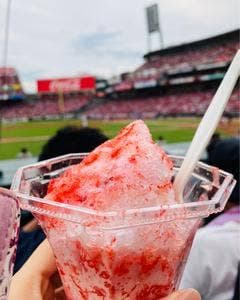 MAZDA Zoom-Zoom スタジアム 広島