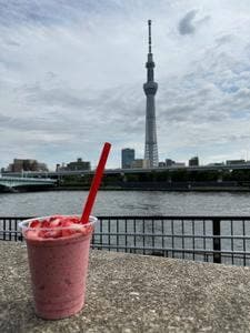 浅草苺座