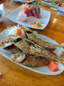 地魚料理 はまゆう
