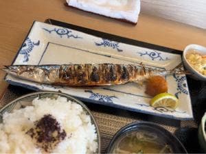 一つ木竹林草