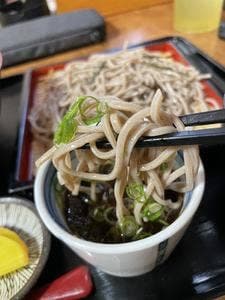 わらじの樹