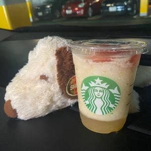 スターバックス コーヒー ららぽーとEXPOCITY 1階店