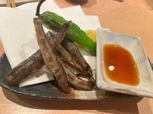 土佐の暴れ鰹いごっそう