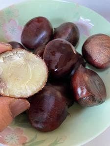 道の駅 京丹波 味夢の里