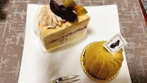 お茶の実の雪うさぎ工房 ららぽーと磐田店