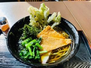 アカコッコ