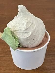 Raccolta Gelato