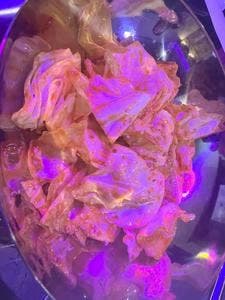 ネオ韓国酒場 NKポチャ 長岡店