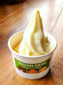 みきゃんパーク 梅津寺