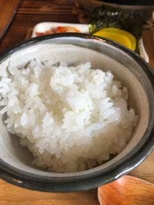 森の灯 鯉山