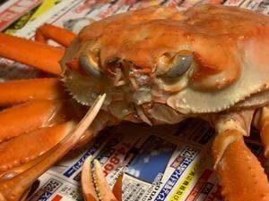 男鹿水産