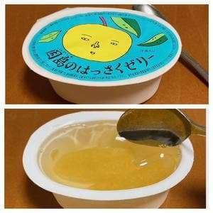 JA尾道市 因島はっさくゼリーセンター