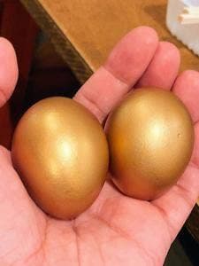 鉄板ホルモン 和真