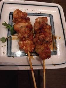 照の家