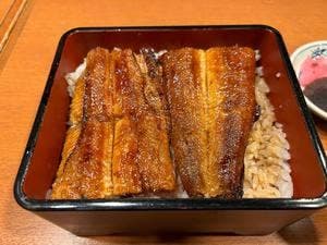 炭焼きうなぎの魚伊 天五店