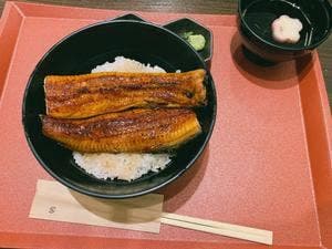 清流うなぎ 月島 東大赤門店