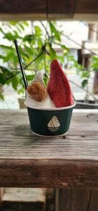 リッコジェラートビアチュート