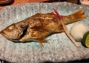 のどぐろ専門店 赤坂 かなめ