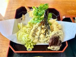 めんぼう山本