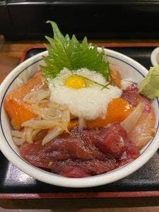 一魚一栄