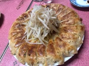 むつ菊 助信店