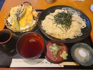 更科 美やこ