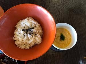 わがまんま鷹