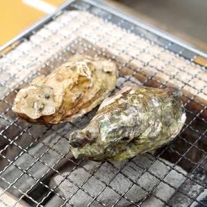 カキハウス 内海湾