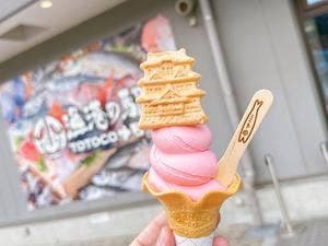 小田原漁港プリン