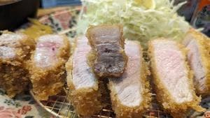 シバケン