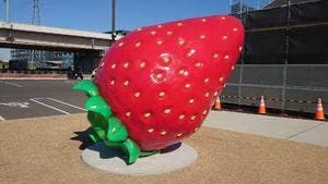 グランベリーカフェ