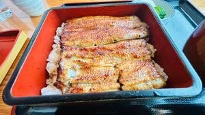 うな膳