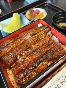 うな吉