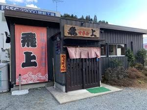 飛上