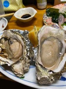 居酒屋 豊
