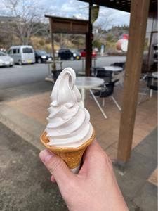 清川ふるさと物産館 夢市場 道の駅きよかわ