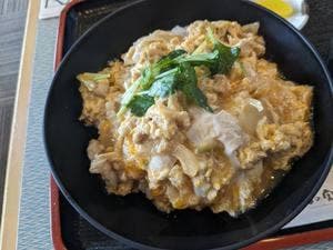 おんせんの森