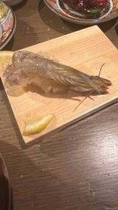 栄 鮨食人 五と二