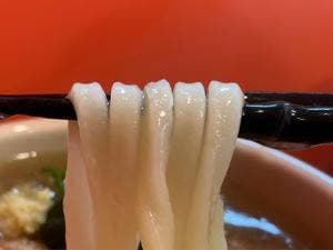 うどん 一燈照隅