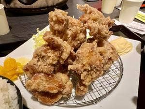 とり専門店 鳥さく アウトレット広島店