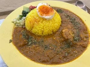 CONO SPICE