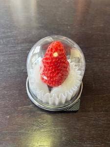 canadell berry 総曲輪店