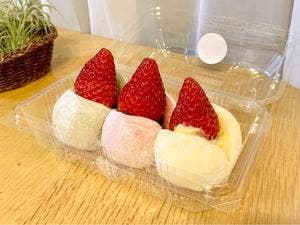 築地 そらつき