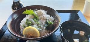 佐田岬 はなはな