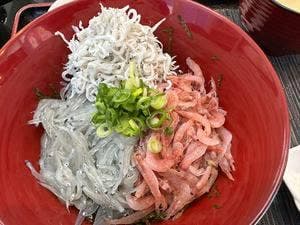 竹造