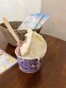 Gelateria & Factory Loop