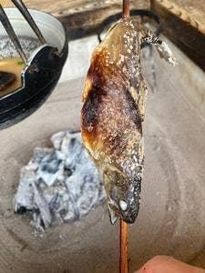 お食事処 庵 鶴の湯別館 山の宿