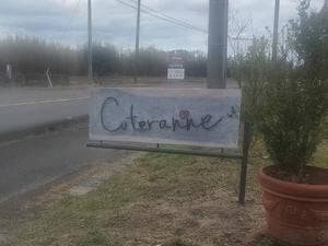 coteranne