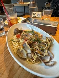 Trattoria Cicci Fantastico