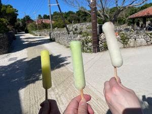 たきどぅん